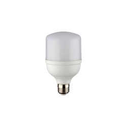 Noas 30W Torch Led Ampul