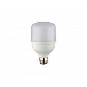 Noas 20W Torch Led Ampul